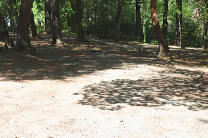 Almeda Park in Oregon - campsite 8