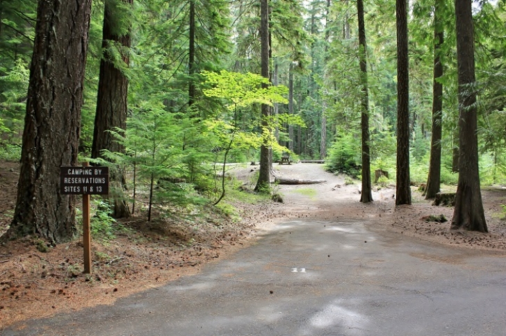 Camping in Washingtons Adams Fork Campground - campsite 11
