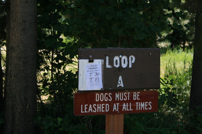 A picture of the group camping sites in Alpine Campground on Palisades Reservoir in eastern Idaho.