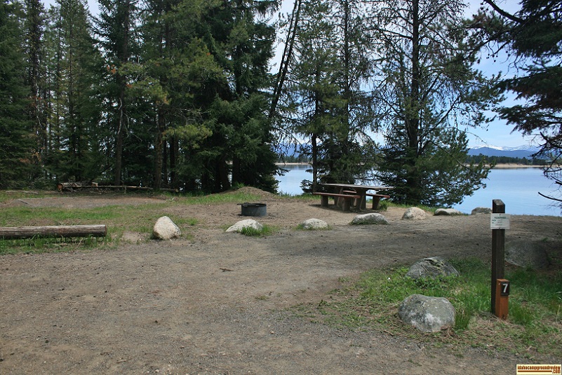 A picture of campsite number 7 in Amanita Campground