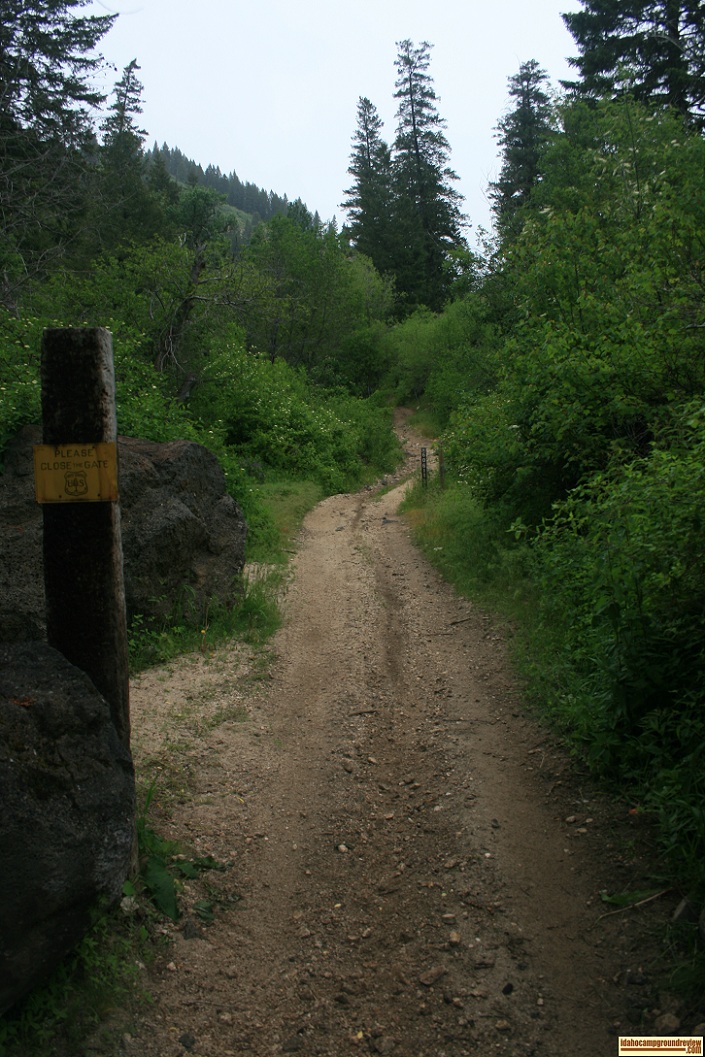 Little Wilson Creek Trail Head trail