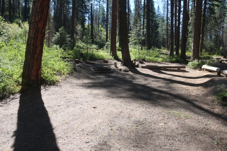 Camping in Antelope campground on Sagehen Reservoir.