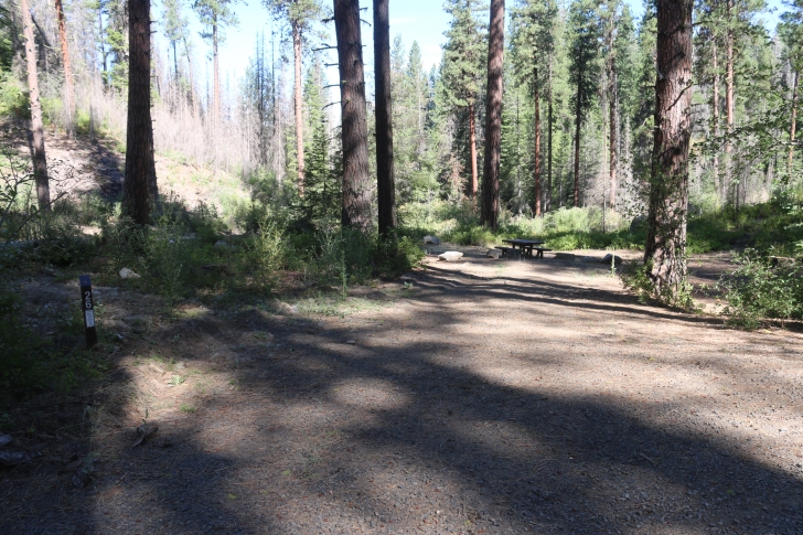 Camping in Antelope campground on Sagehen Reservoir.