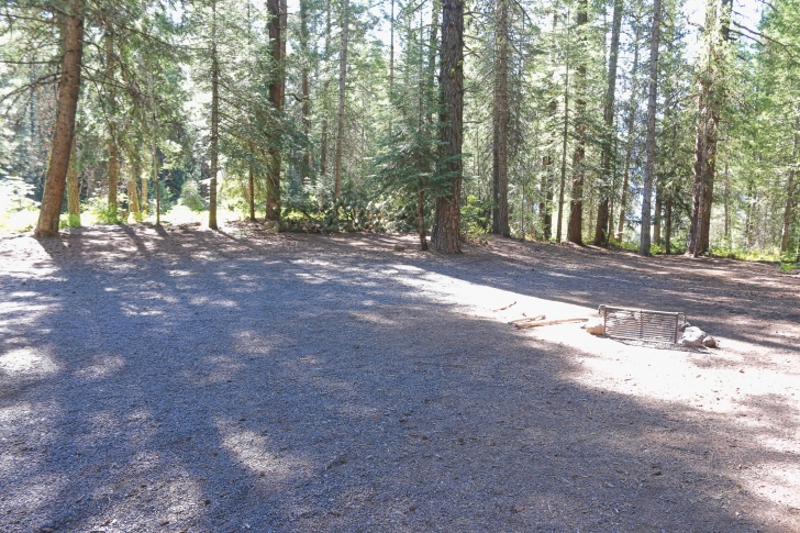 Camping in Antelope campground on Sagehen Reservoir.