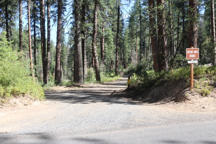 Camping in Antelope campground on Sagehen Reservoir.