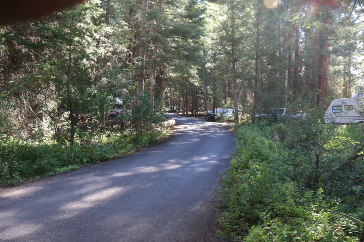 Camping in Antelope campground on Sagehen Reservoir.