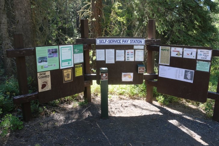 Camping in Antelope campground on Sagehen Reservoir.