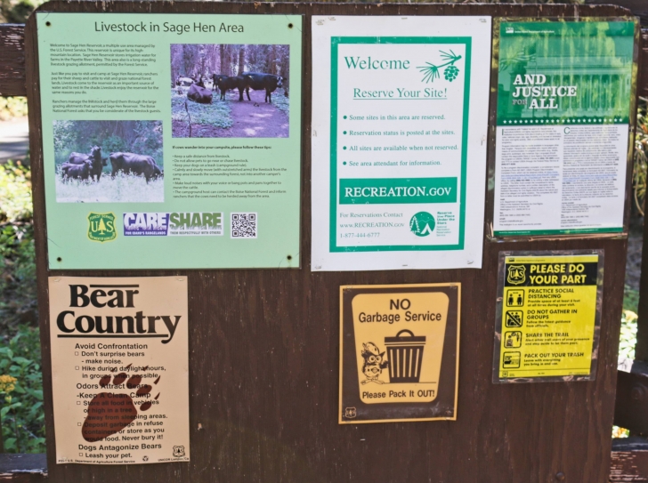Camping in Antelope campground on Sagehen Reservoir.