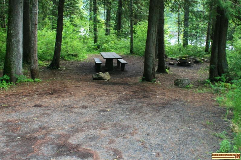 Apgar Campground on the Lochsa River in the Clearwater National Forest
