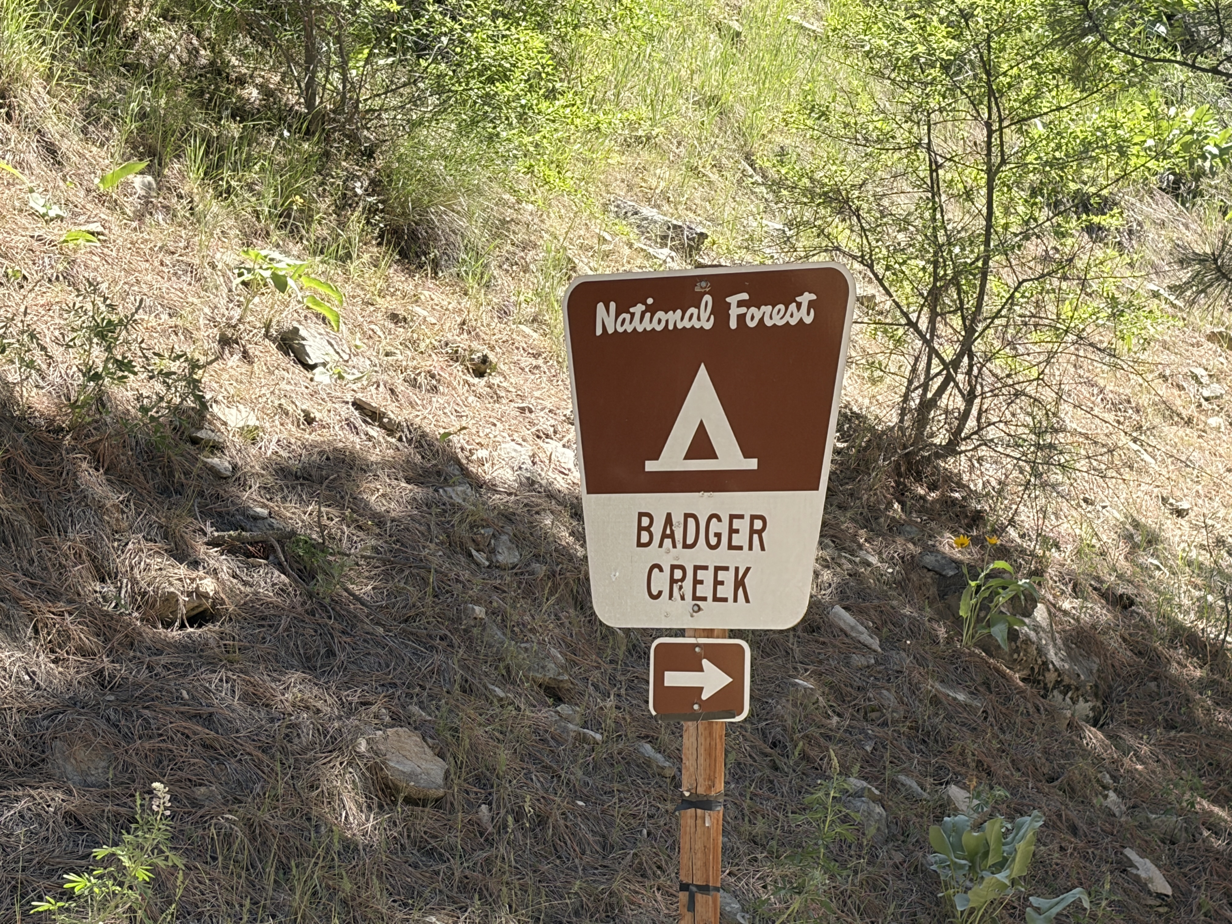 Badger Creek Forest Camp - Signs & Info