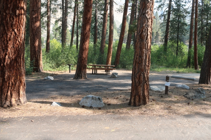 A guide to camping in Baumgartner Campground near Featherville Idaho