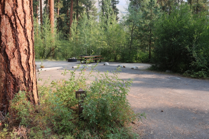 A guide to camping in Baumgartner Campground near Featherville Idaho