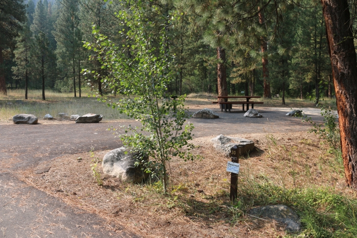 A guide to camping in Baumgartner Campground near Featherville Idaho