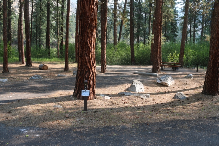 A guide to camping in Baumgartner Campground near Featherville Idaho