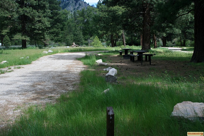 Camping at Baumgartner Campground Site 100.