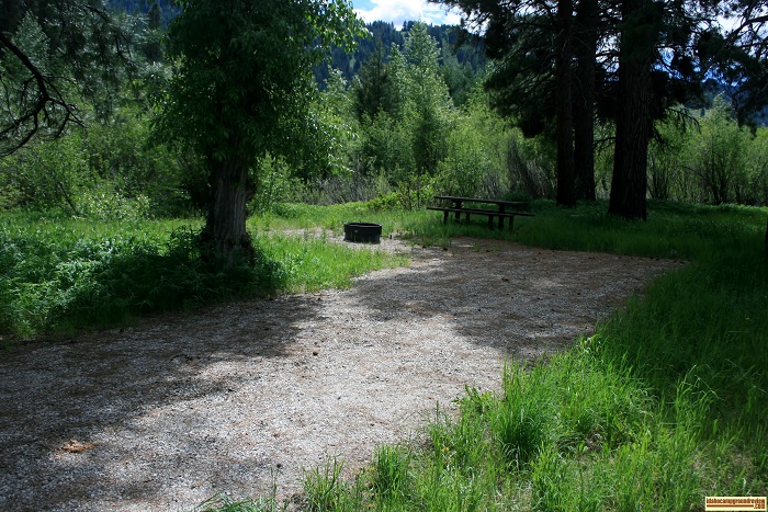 Camping at Baumgartner Campground Site 100.