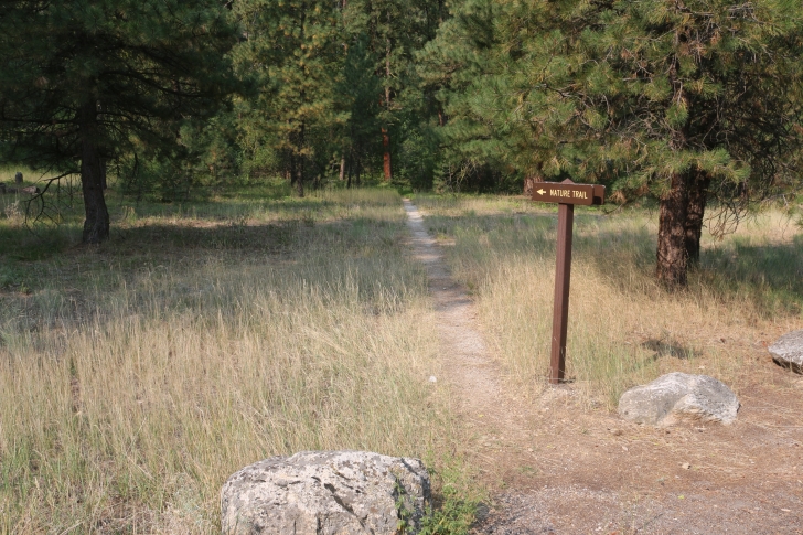 A guide to camping in Baumgartner Campground near Featherville Idaho