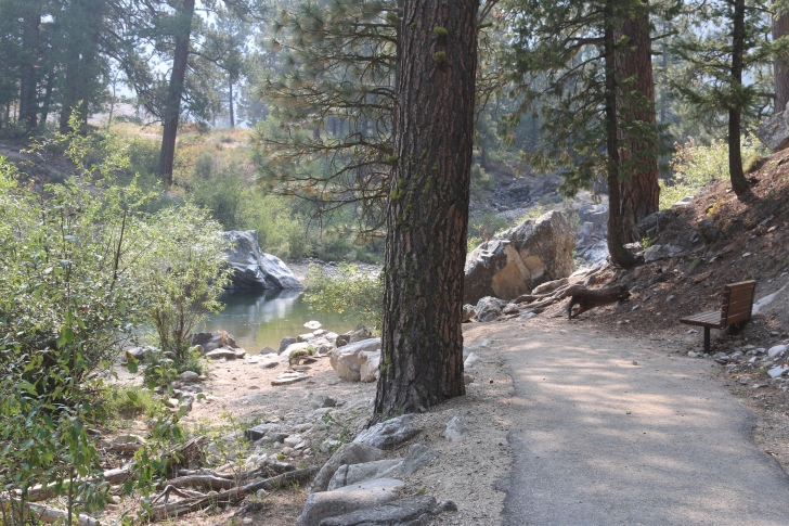 A guide to camping in Baumgartner Campground near Featherville Idaho