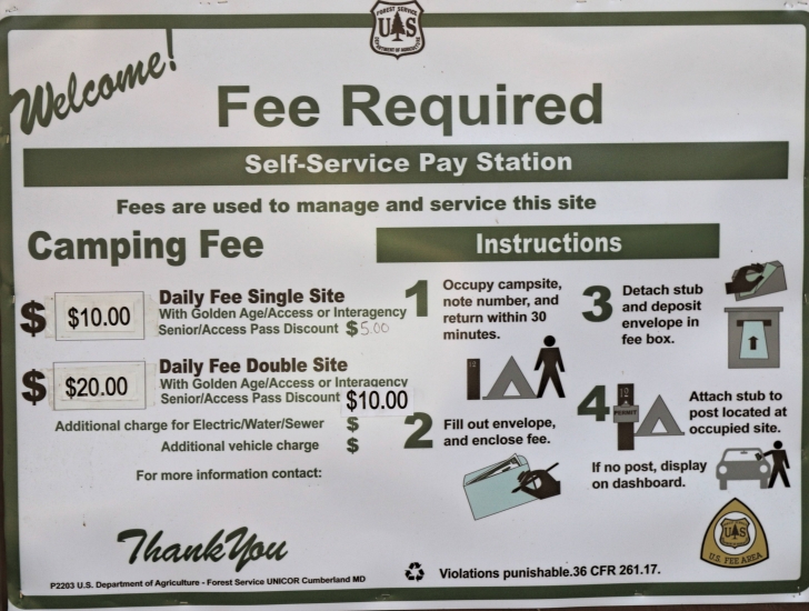 A guide to camping in Baumgartner Campground near Featherville Idaho