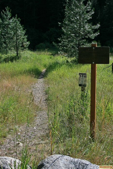 Beauty Creek Campground gives access to this hiking trail.
