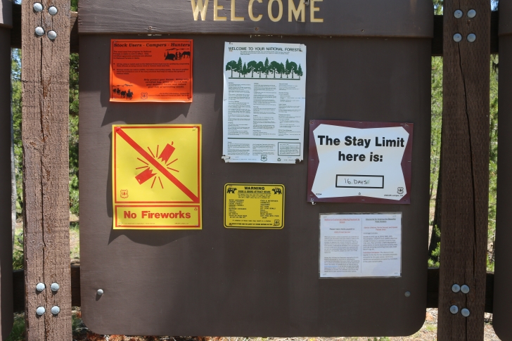 Camping at Bench Creek Campground near the Sawtooth Mountains