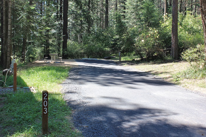 Campsite in Benewah Campground.