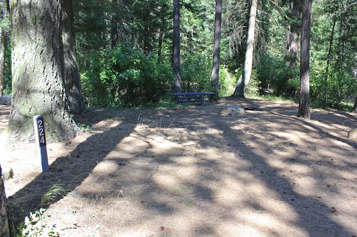Campsite in Benewah Campground.