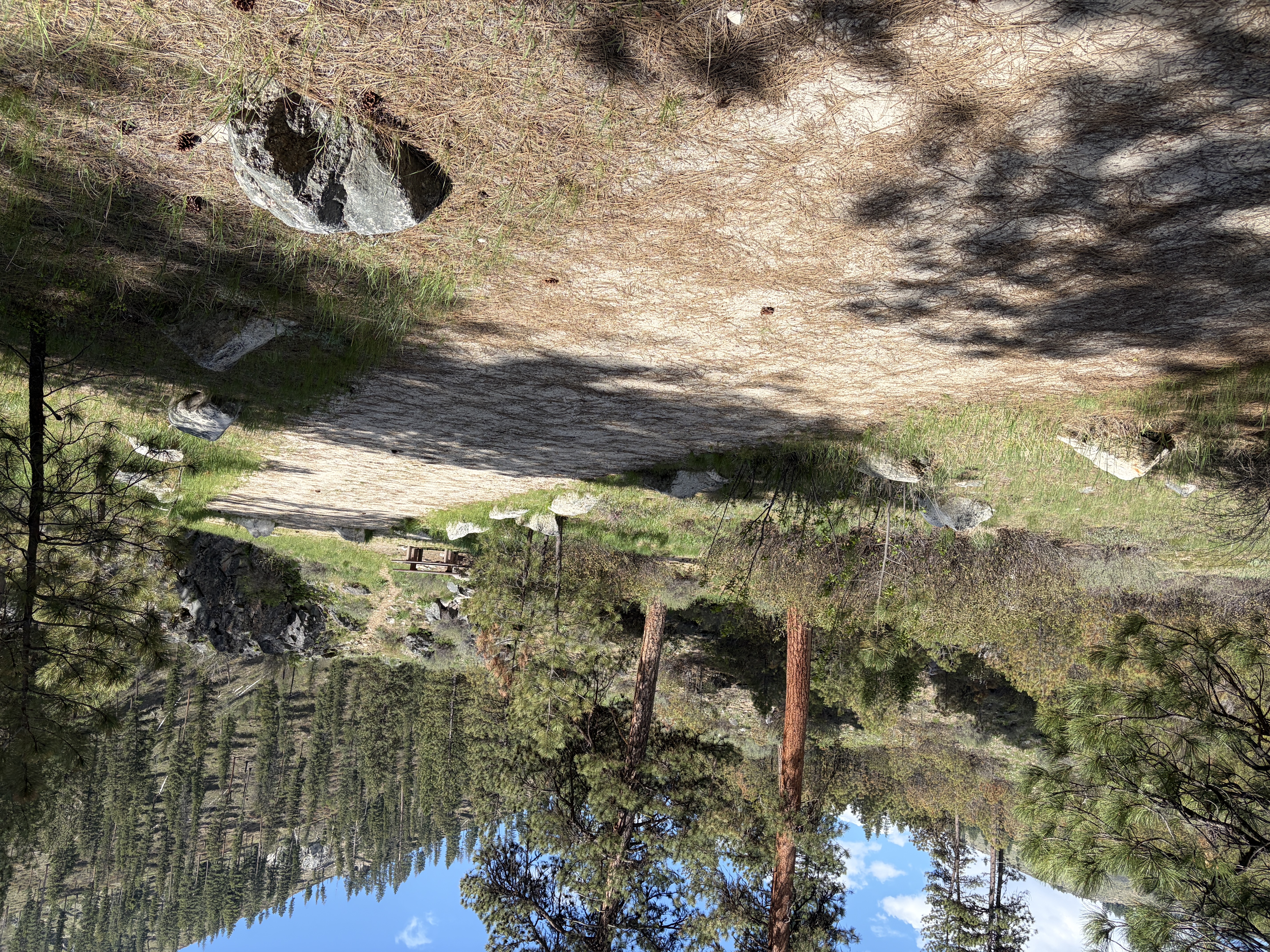 Black Rock Campground - Campsites