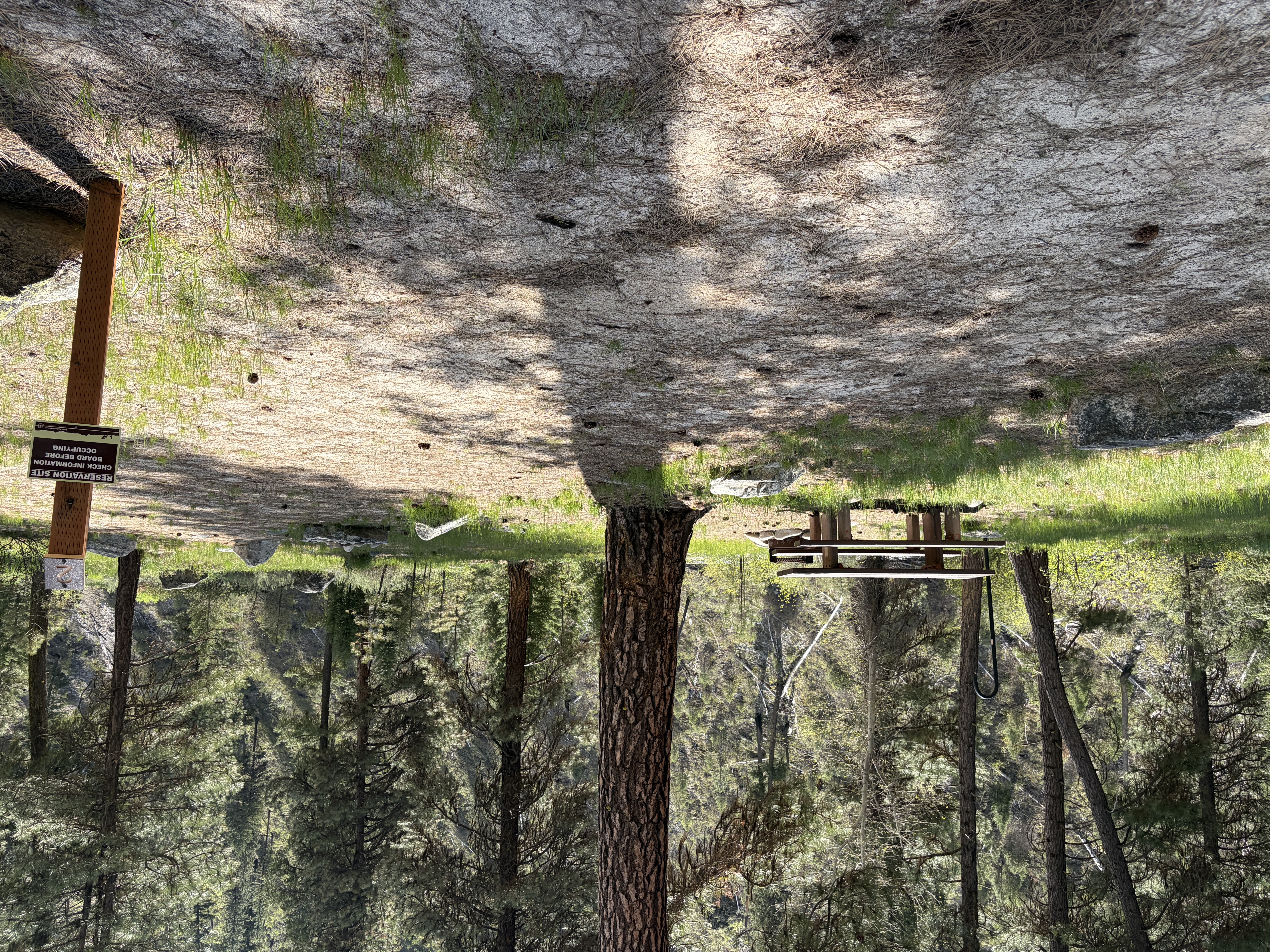 Black Rock Campground - Campsites