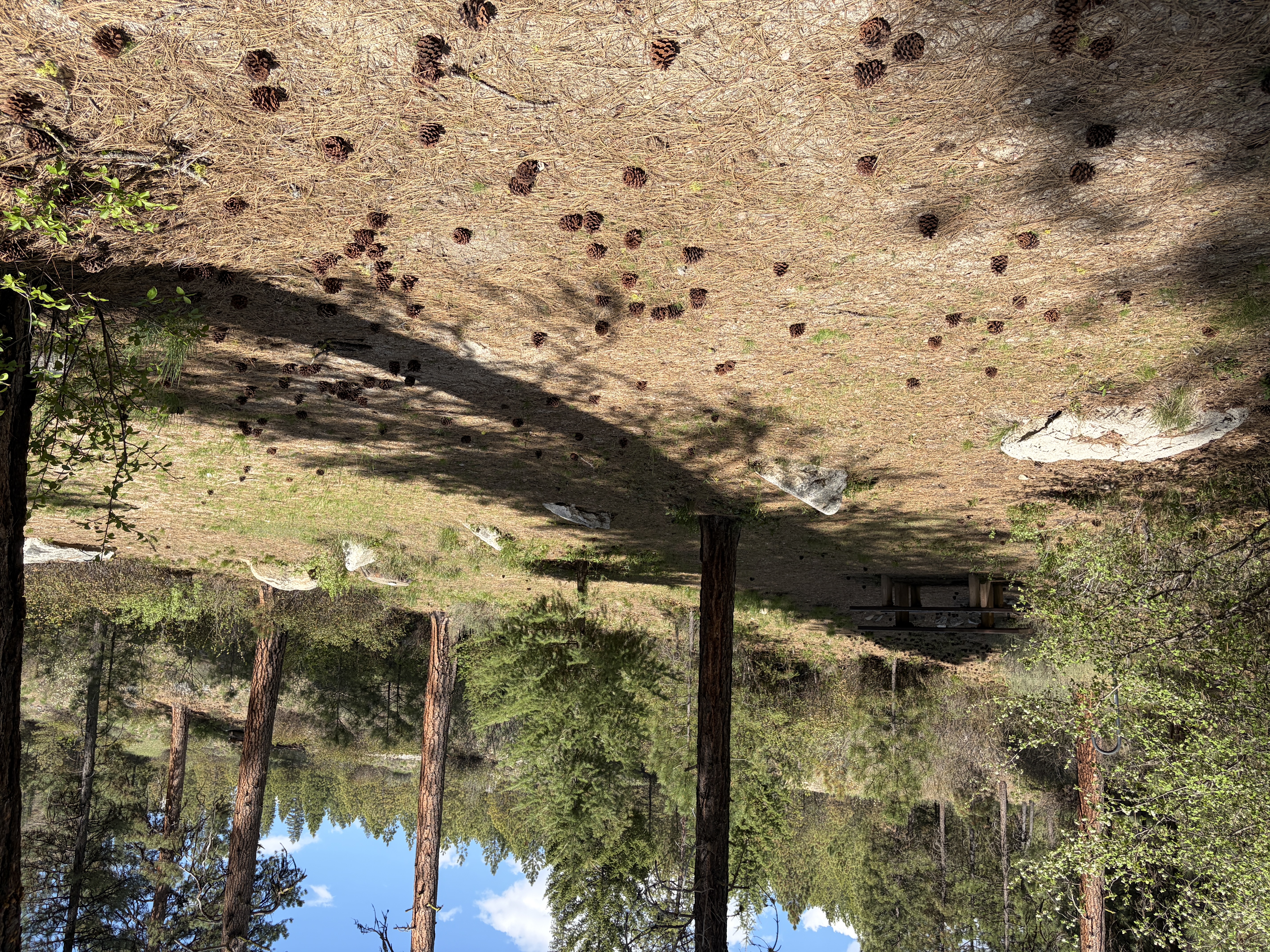 Black Rock Campground - Campsites