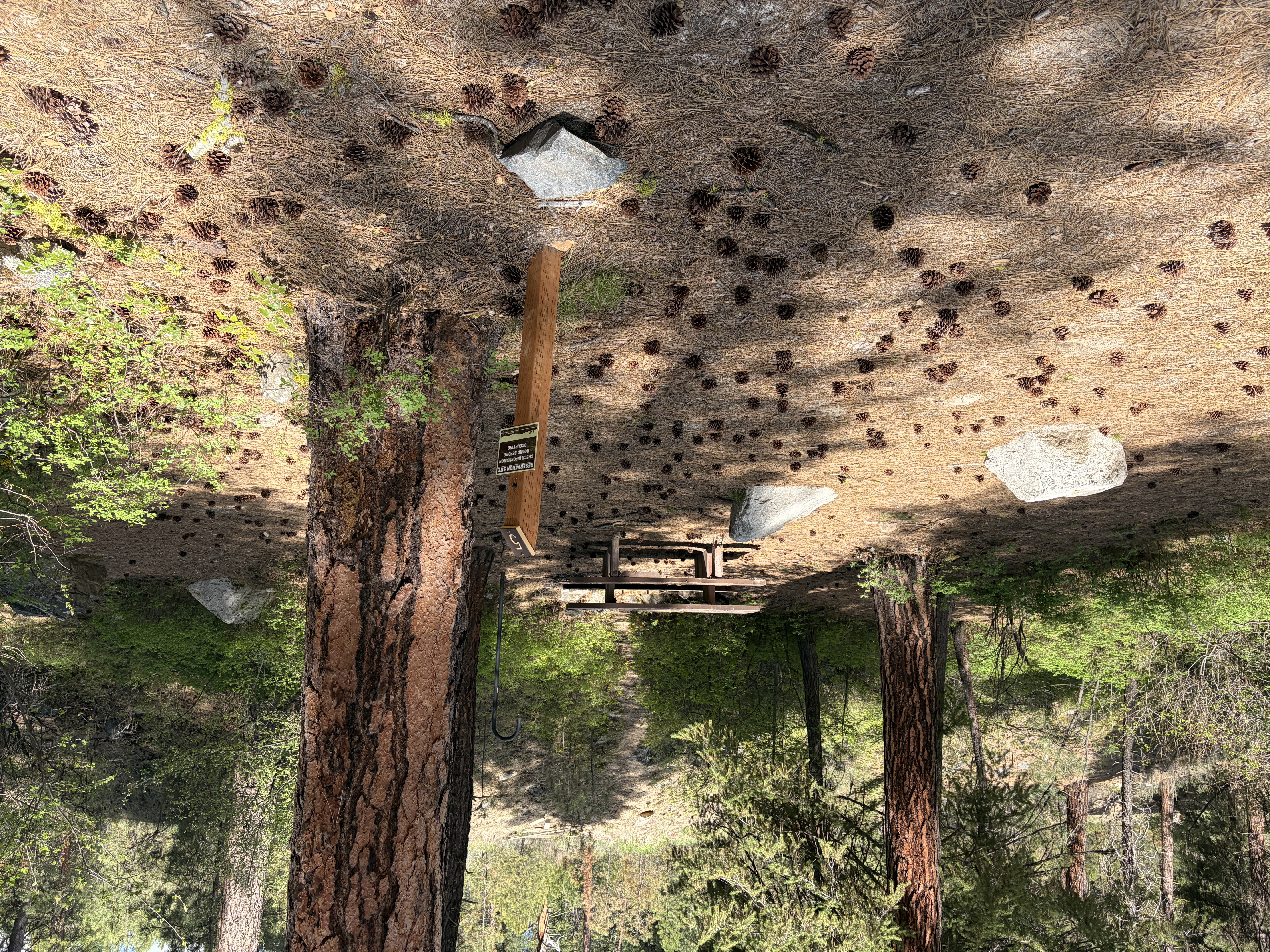 Black Rock Campground - Campsites