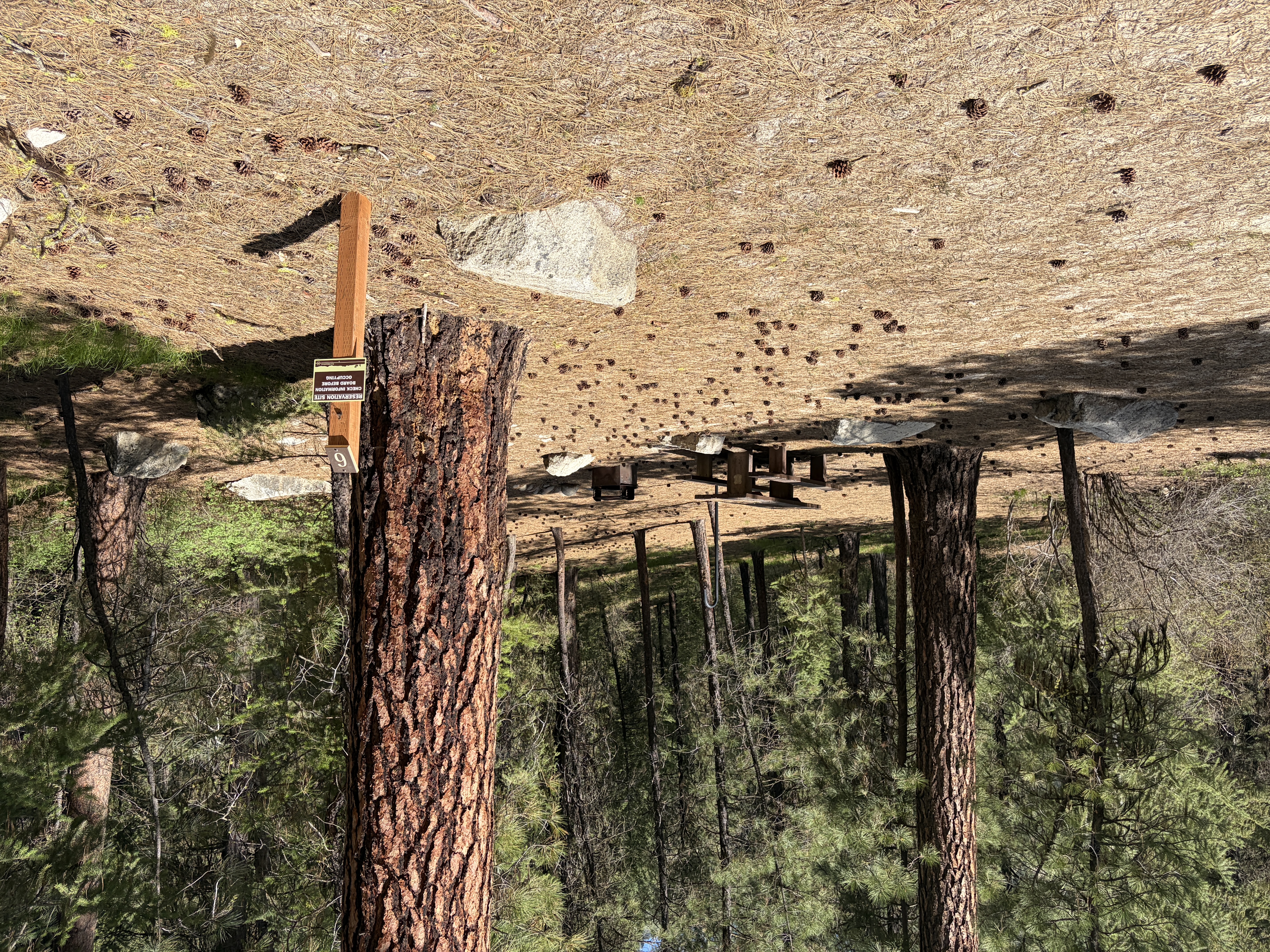 Black Rock Campground - Campsites