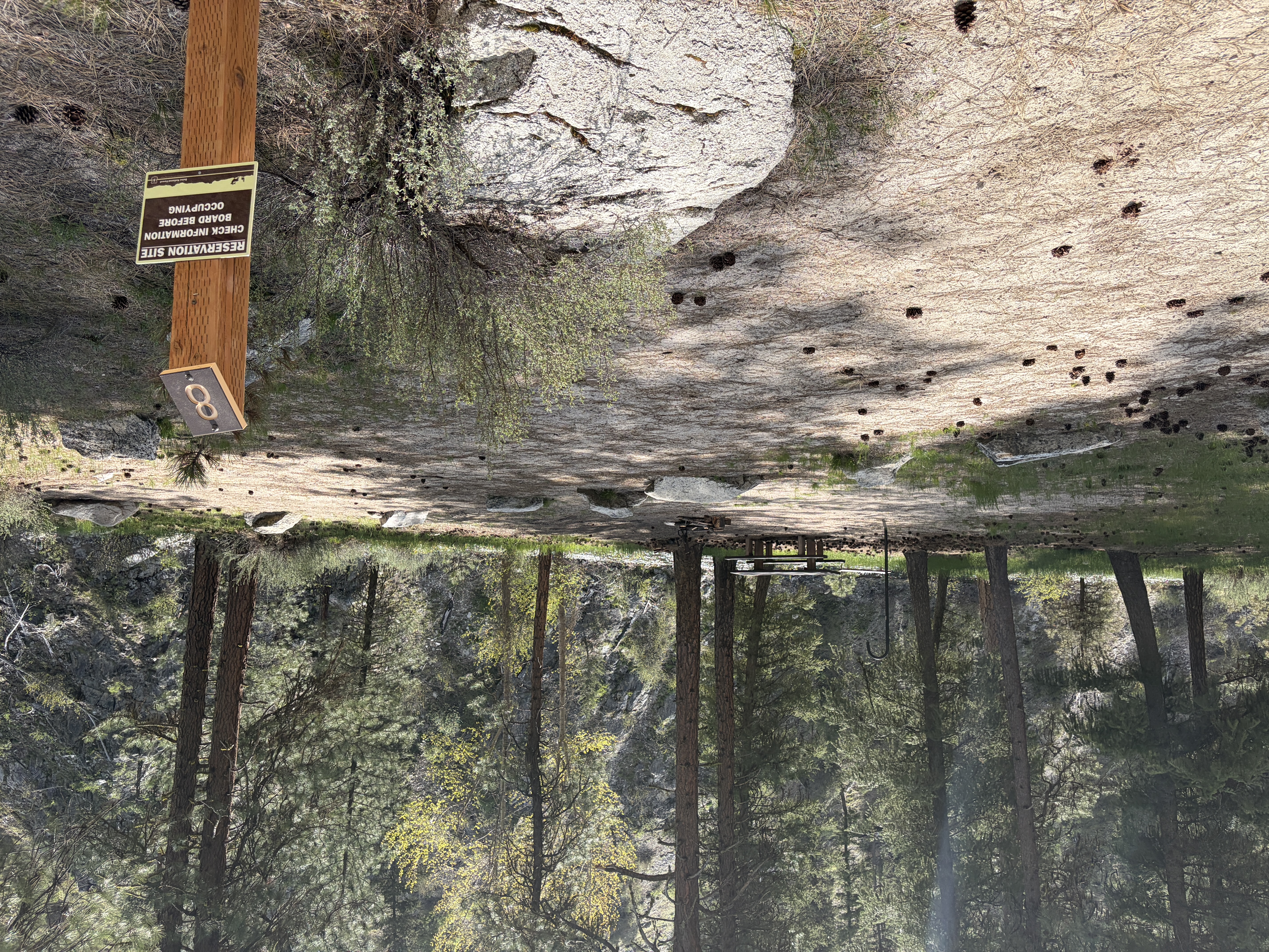 Black Rock Campground - Campsites