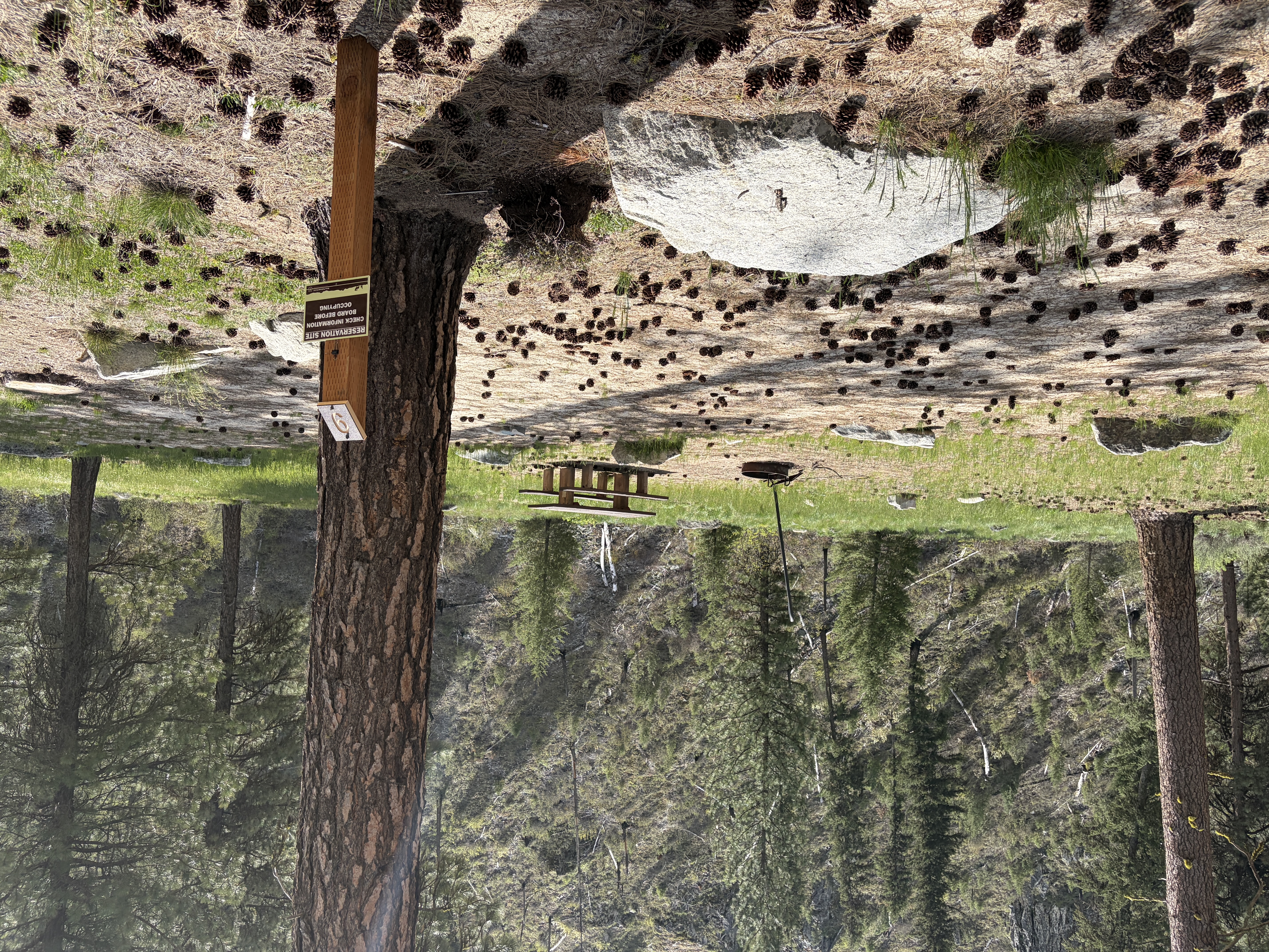 Black Rock Campground - Campsites