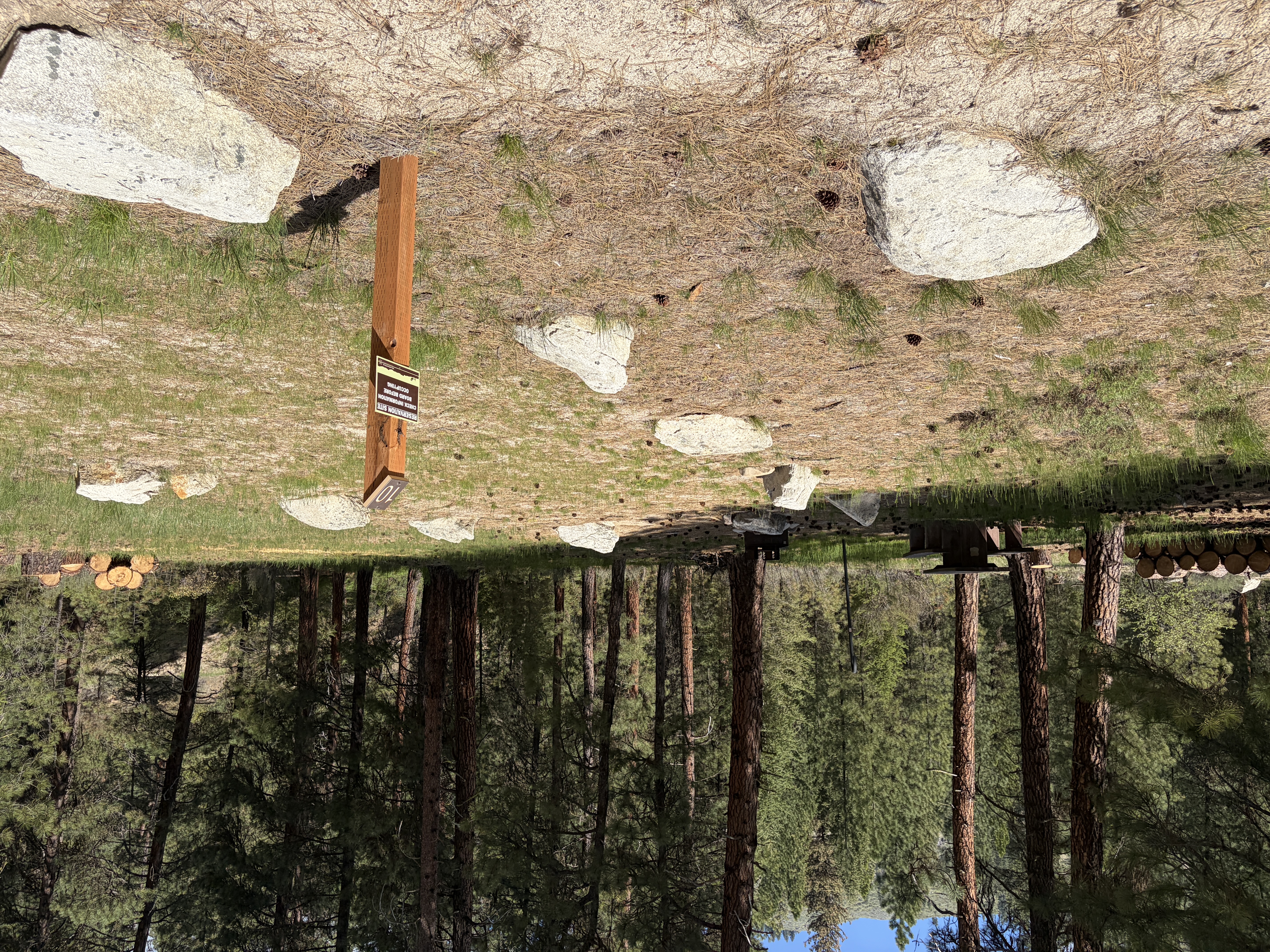 Black Rock Campground - Campsites