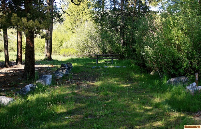 Campsite #10 in Bowns Campground.
