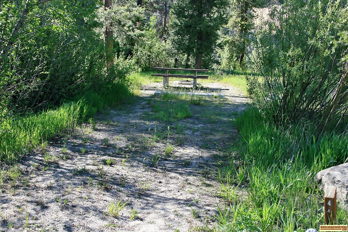 A campsite in Bowns Campground.