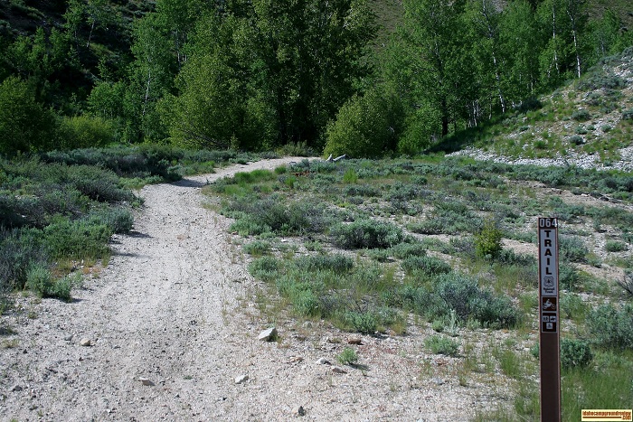 This is Conant Trail (#64) near Bowns Campground.