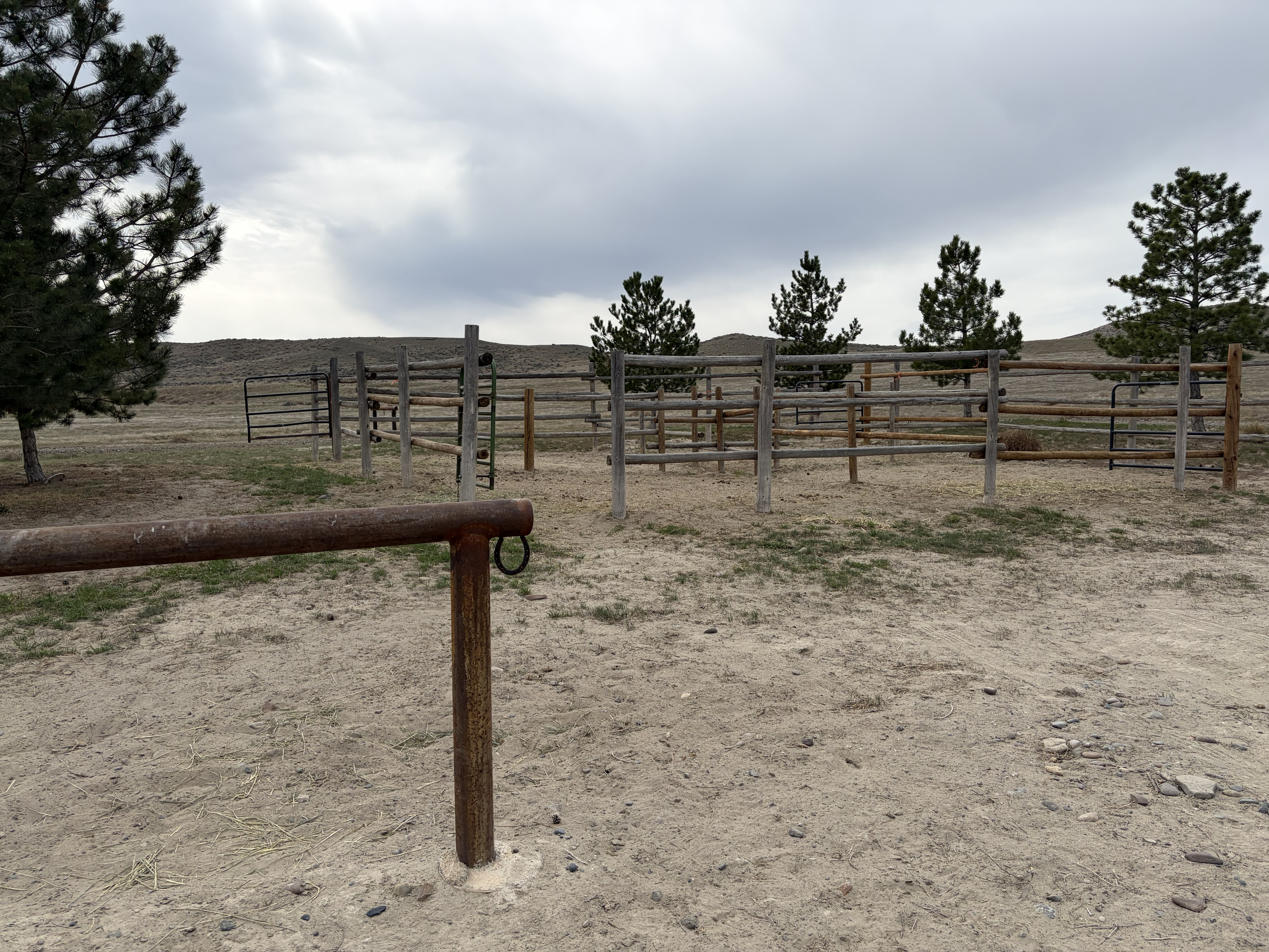 Bruneau Dunes State Park - Equine