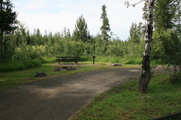 Buffalo Campground near Island Park.