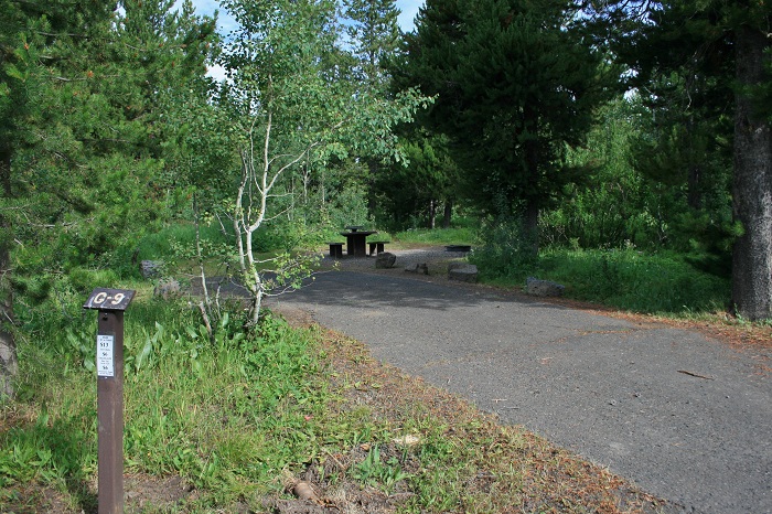 Buffalo Campground near Island Park.