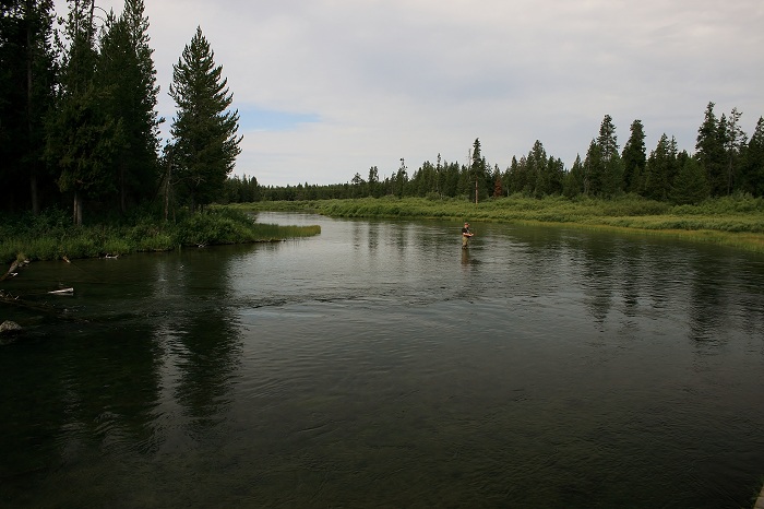 Buffalo Campground near Island Park.