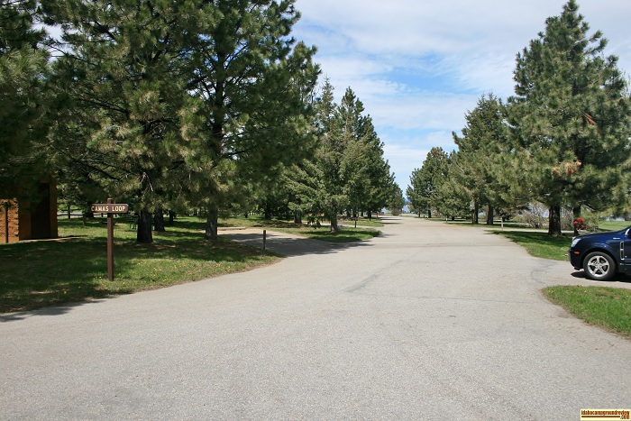 Buttercup Campground