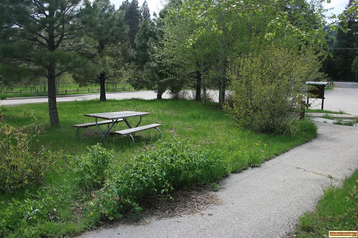 Buttercup Campground