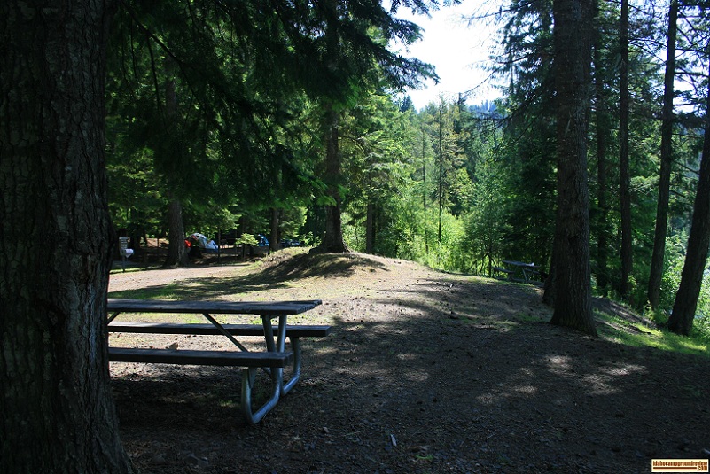 view of camping sites in canyon creek recreation site