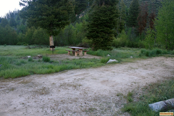 This is campsite #3 in Canyon Creek Transfer Camp on Big Smokey Creek.