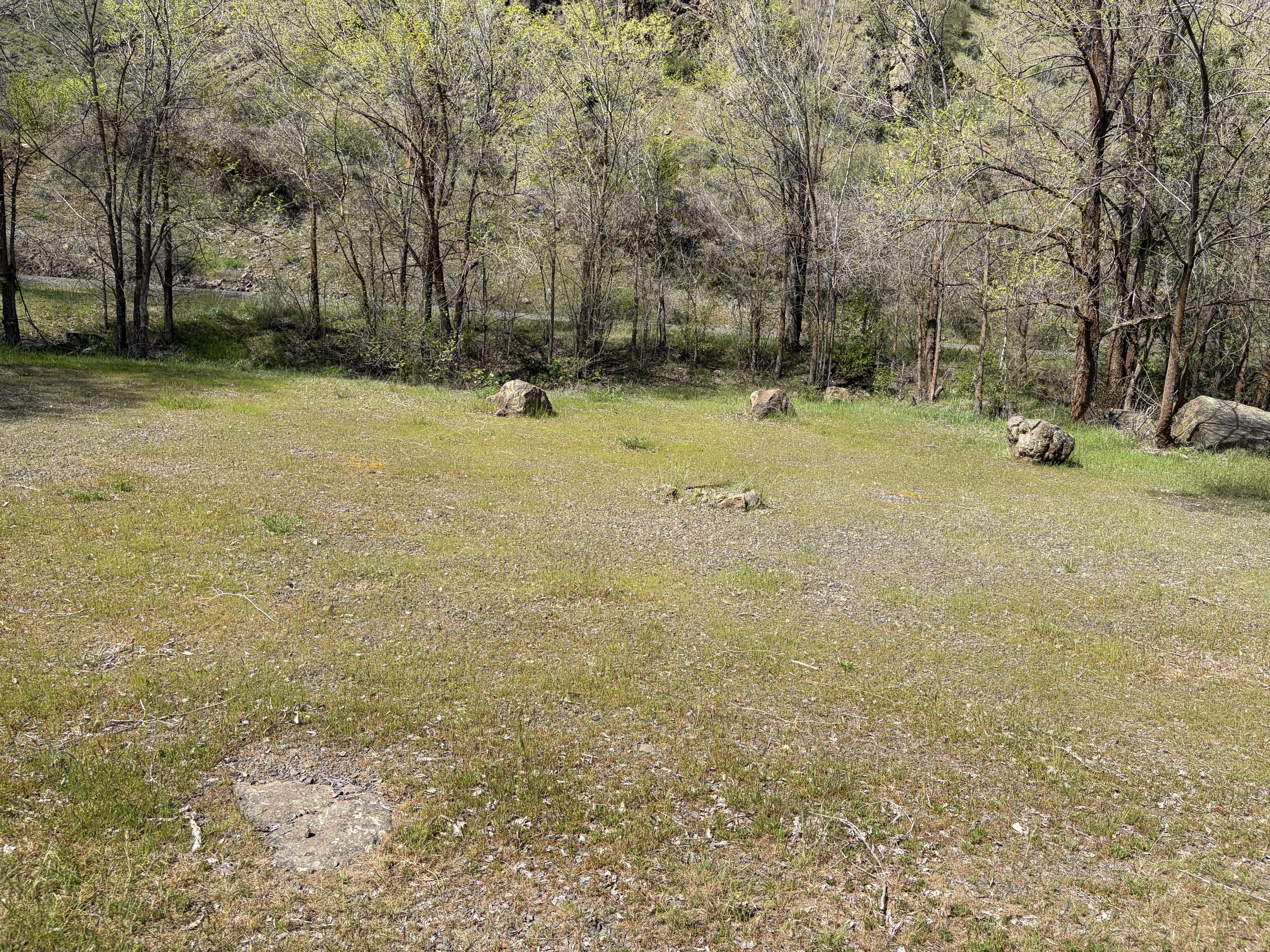 Carter's Landing Campsites