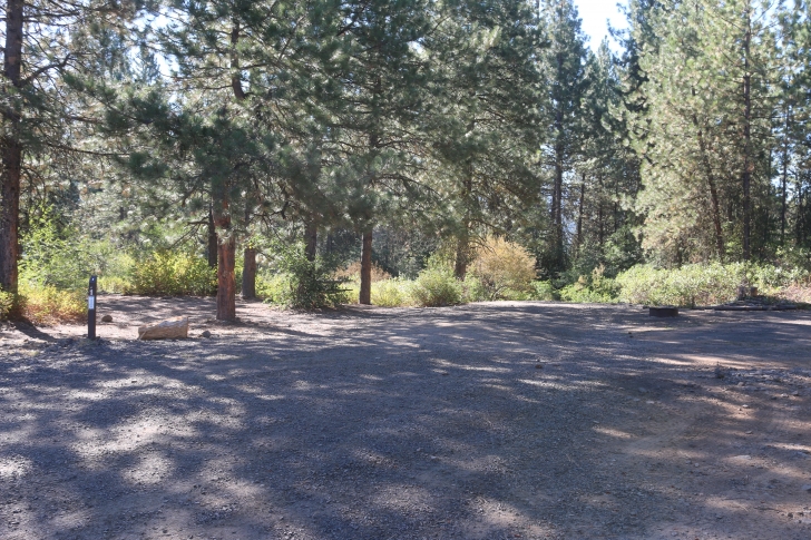 Camping at Cartwright Ridge Campground at Sagehen Reservoir.
