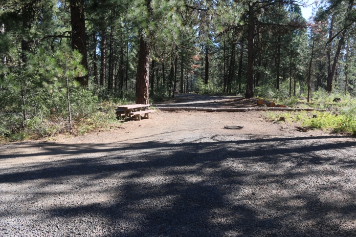 Camping at Cartwright Ridge Campground at Sagehen Reservoir.