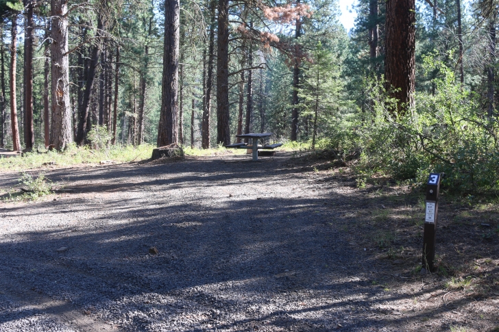 Camping at Cartwright Ridge Campground at Sagehen Reservoir.